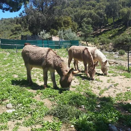 Nyaraló 3 Zimmerhaus By Interhome