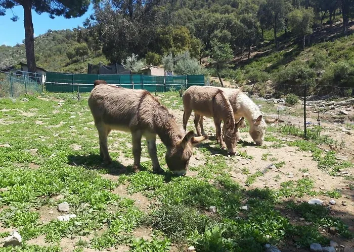 Nyaraló 3 Zimmerhaus By Interhome