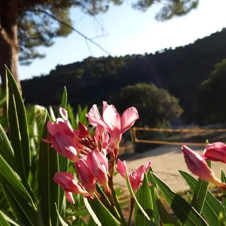 3 Zimmerhaus By Interhome *