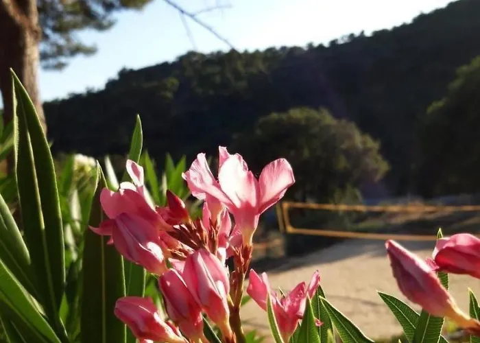 3 Zimmerhaus By Interhome *